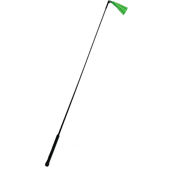 Amazon.com: Pig Whip - Blue, Green and Yellow Tassel